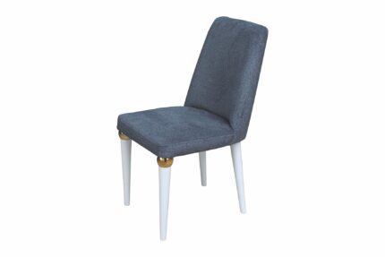 salon-sandalyesi-bolu-CSK-407
