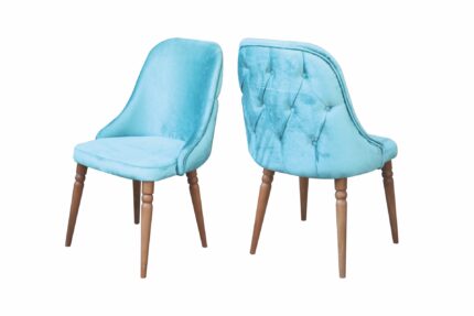 salon-sandalyesi-denizli-CSK-612
